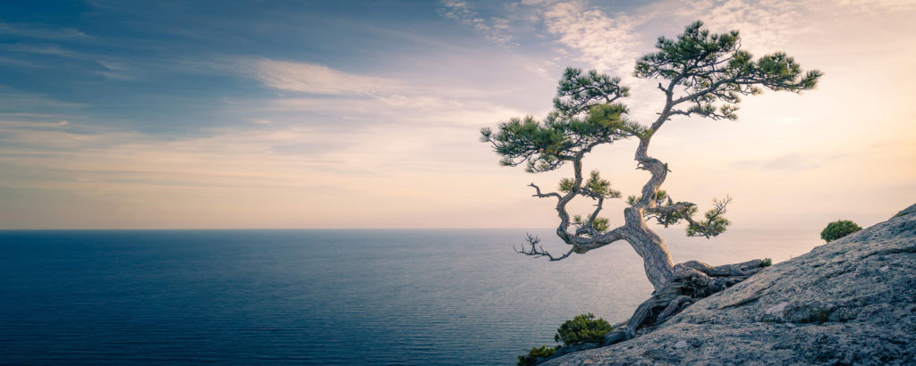 mindfulness-and-yoga