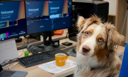 Demand for ‘dog-friendly’ offices up by almost 60%!