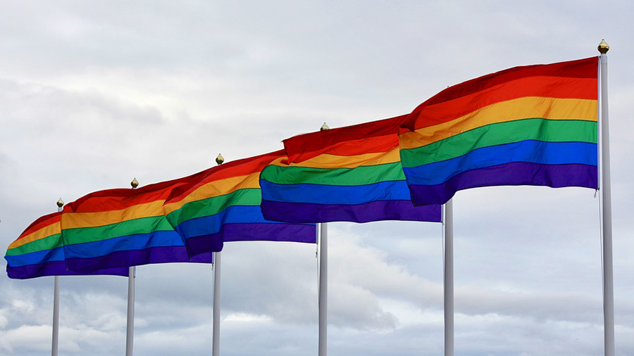 Martha How: Changes and challenges to LGBTI and employee benefits